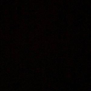 Meet your Posher, Freesia